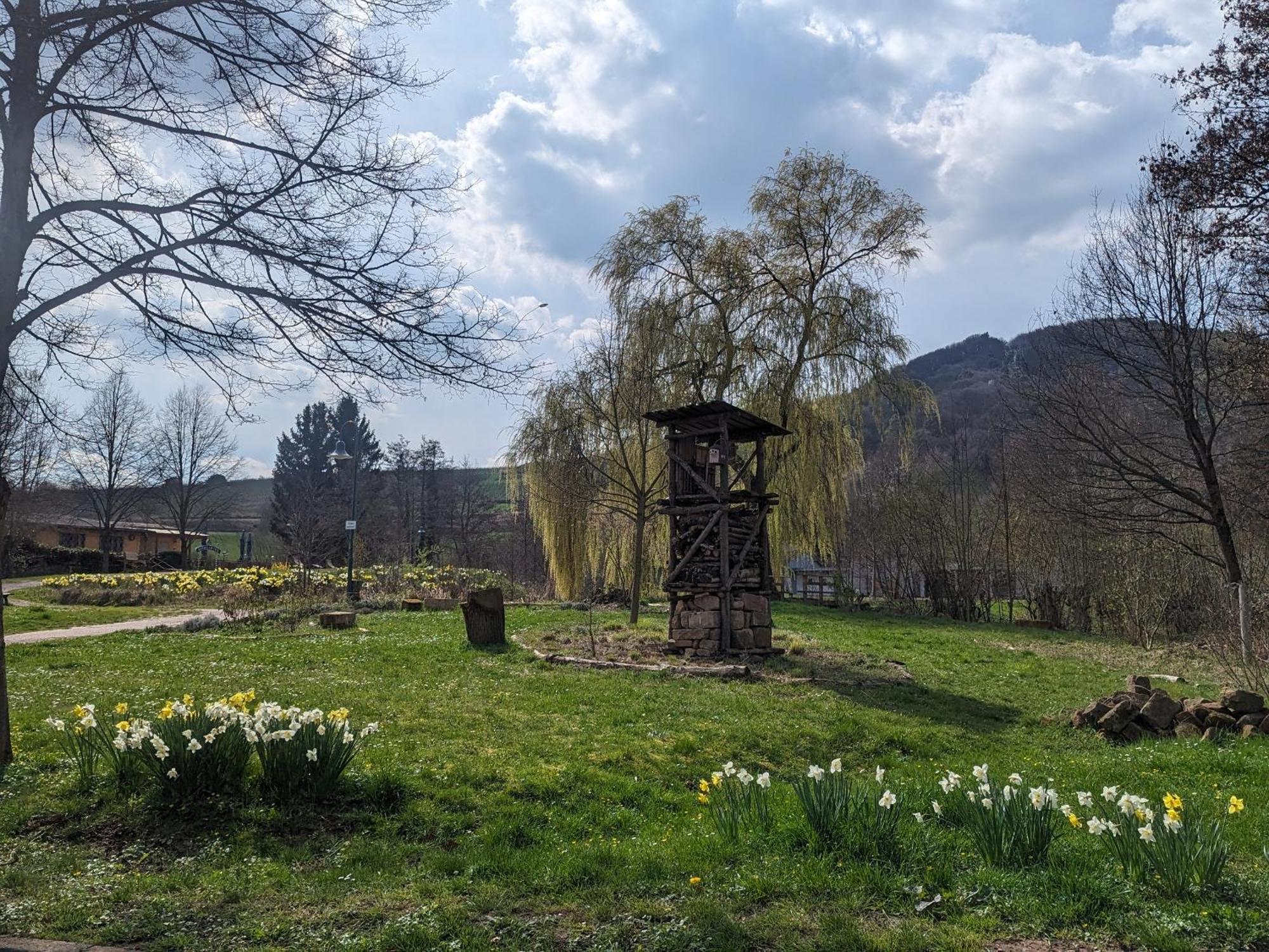 Ferienhaus Am Park Klingenmünster Zewnętrze zdjęcie