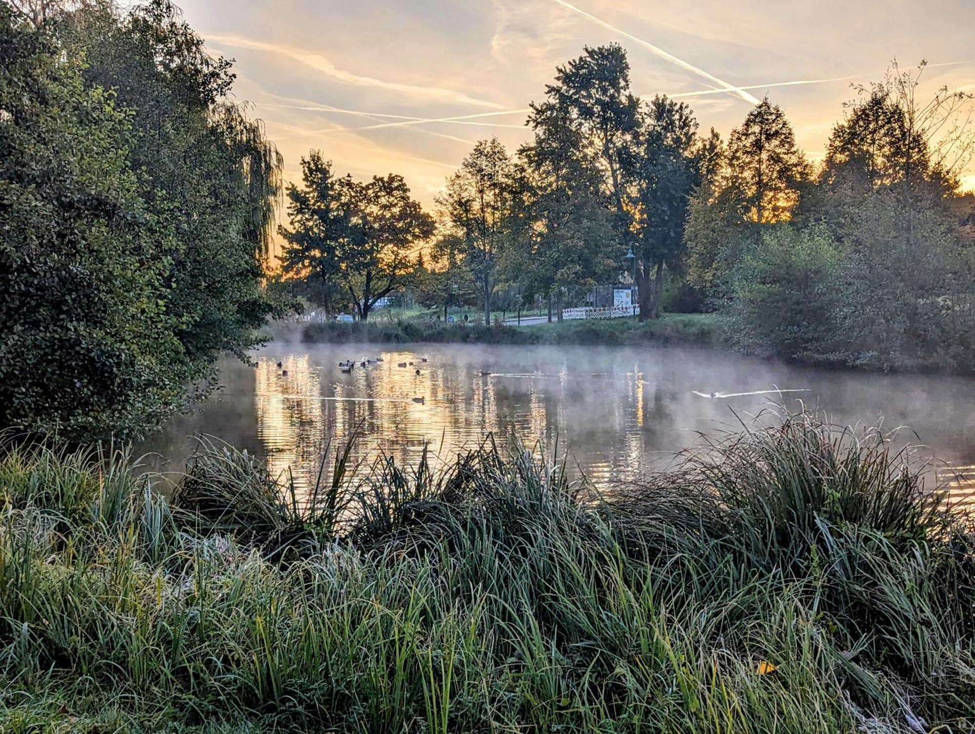 Ferienhaus Am Park Klingenmünster Zewnętrze zdjęcie