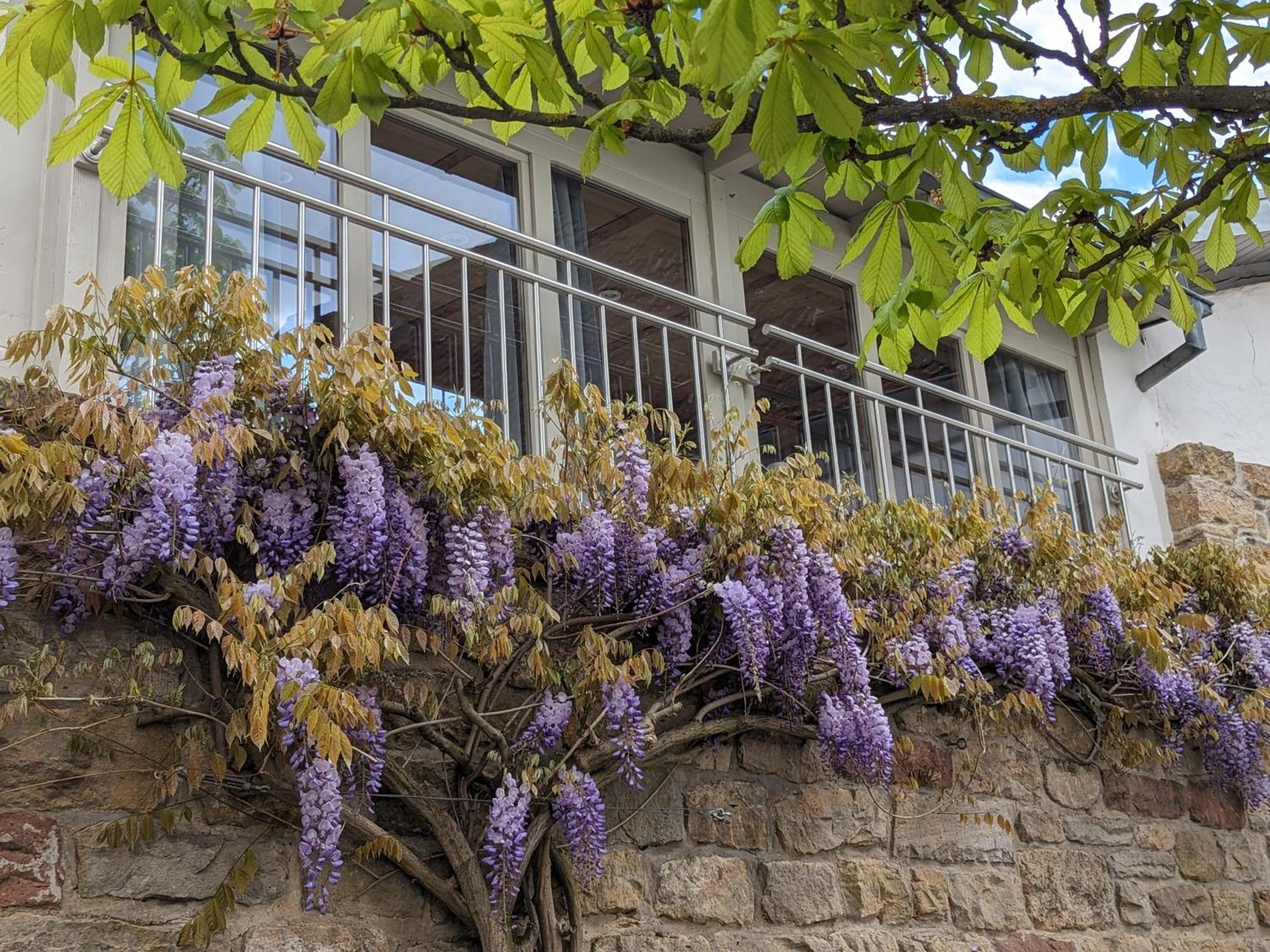 Ferienhaus Am Park Klingenmünster Zewnętrze zdjęcie
